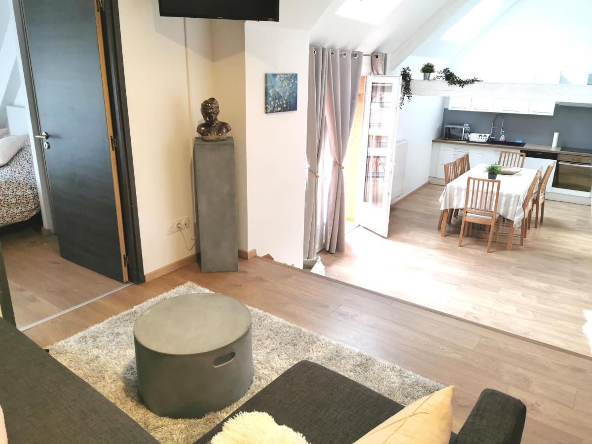 Appartement De Standing 8 Personnes Centre Historique De Colmar Bagian luar foto